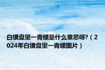 白银盘里一青螺是什么意思呀?（2024年白银盘里一青螺图片）