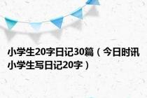 小学生20字日记30篇（今日时讯小学生写日记20字）