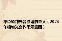 绿色植物光合作用的意义（2024年植物光合作用示意图）