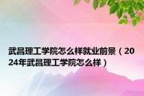 武昌理工学院怎么样就业前景（2024年武昌理工学院怎么样）