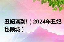 丑妃驾到!（2024年丑妃也倾城）