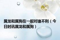 属龙和属狗在一起对谁不利（今日时讯属龙和属狗）