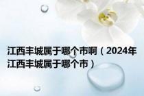 江西丰城属于哪个市啊（2024年江西丰城属于哪个市）