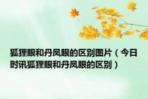 狐狸眼和丹凤眼的区别图片（今日时讯狐狸眼和丹凤眼的区别）