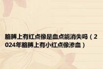 胳膊上有红点像是血点能消失吗（2024年胳膊上有小红点像渗血）