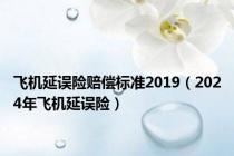 飞机延误险赔偿标准2019（2024年飞机延误险）