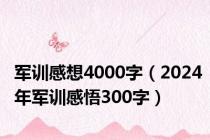 军训感想4000字（2024年军训感悟300字）