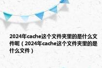 2024年cache这个文件夹里的是什么文件呢（2024年cache这个文件夹里的是什么文件）