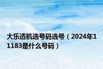 大乐透机选号码选号（2024年11183是什么号码）