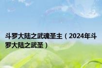 斗罗大陆之武魂圣主（2024年斗罗大陆之武圣）