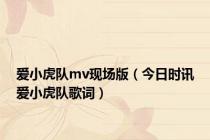 爱小虎队mv现场版（今日时讯爱小虎队歌词）