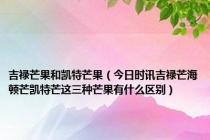 吉禄芒果和凯特芒果（今日时讯吉禄芒海顿芒凯特芒这三种芒果有什么区别）