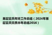 基层官兵年终工作总结（2024年基层官兵党员半年总结2016）