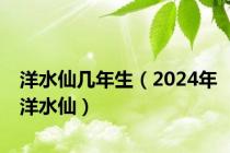 洋水仙几年生（2024年洋水仙）