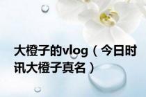 大橙子的vlog（今日时讯大橙子真名）