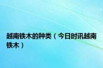 越南铁木的种类（今日时讯越南铁木）