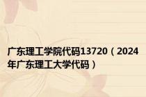 广东理工学院代码13720（2024年广东理工大学代码）