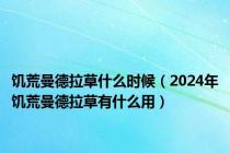 饥荒曼德拉草什么时候（2024年饥荒曼德拉草有什么用）
