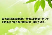 鼻子朝天嘴巴朝地敲它一锤惊天动地猜一物（今日时讯鼻子朝天嘴巴朝地敲他一锤惊天动地）
