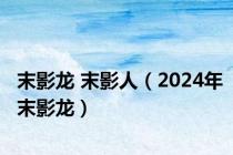 末影龙 末影人（2024年末影龙）