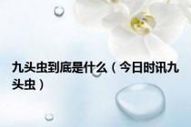 九头虫到底是什么（今日时讯九头虫）