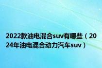 2022款油电混合suv有哪些（2024年油电混合动力汽车suv）
