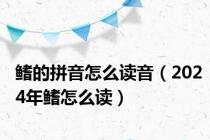 鳍的拼音怎么读音（2024年鳍怎么读）