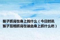 猴子抓背在身上找什么（今日时讯猴子互相抓背在彼此身上抓什么吃）