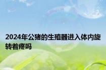 2024年公猪的生殖器进入体内旋转着疼吗