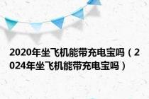 2020年坐飞机能带充电宝吗（2024年坐飞机能带充电宝吗）
