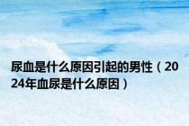 尿血是什么原因引起的男性（2024年血尿是什么原因）