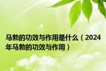 马勃的功效与作用是什么（2024年马勃的功效与作用）