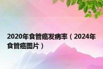 2020年食管癌发病率（2024年食管癌图片）