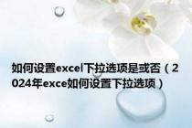 如何设置excel下拉选项是或否（2024年exce如何设置下拉选项）