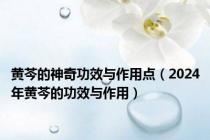 黄芩的神奇功效与作用点（2024年黄芩的功效与作用）