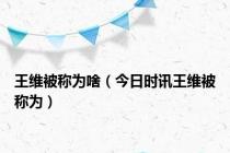 王维被称为啥（今日时讯王维被称为）