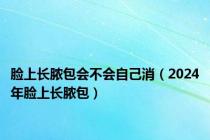 脸上长脓包会不会自己消（2024年脸上长脓包）