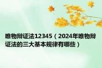 唯物辩证法12345（2024年唯物辩证法的三大基本规律有哪些）