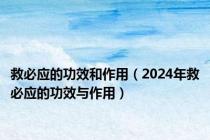 救必应的功效和作用（2024年救必应的功效与作用）