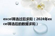 excel筛选过后求和（2024年excel筛选后的数据求和）