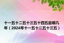 十一五十二五十三五十四五是哪几年（2024年十一五十二五十三五）