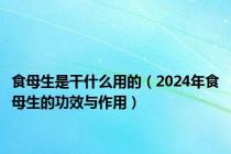 食母生是干什么用的（2024年食母生的功效与作用）