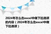 2024年怎么在excel中做下拉选项的内容（2024年怎么在excel中做下拉选项）