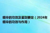 细辛的功效及鉴别要定（2024年细辛的功效与作用）
