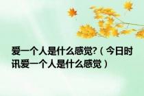 爱一个人是什么感觉?（今日时讯爱一个人是什么感觉）