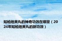 知柏地黄丸的神奇功效在哪里（2024年知柏地黄丸的新功效）