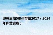 卵黄囊瘤5年生存率2017（2024年卵黄囊瘤）