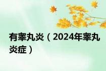 有睾丸炎（2024年睾丸炎症）