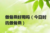 傲骨燕好用吗（今日时讯傲骨燕）