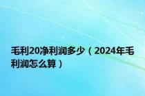 毛利20净利润多少（2024年毛利润怎么算）